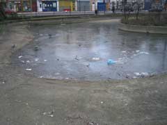 A massive dirty puddle, strewn with carrier bags.